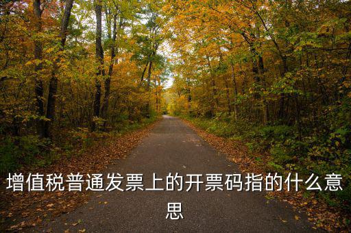 什么是發(fā)票信息碼，增值稅普通發(fā)票上的開票碼指的什么意思