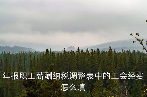 工會(huì)經(jīng)費(fèi)應(yīng)稅項(xiàng)填什么，網(wǎng)上報(bào)稅時(shí)又多了一項(xiàng)工會(huì)經(jīng)費(fèi)怎樣填寫(xiě)計(jì)算