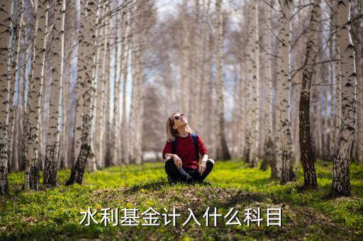 水利基金指什么，水利基金計入什么科目