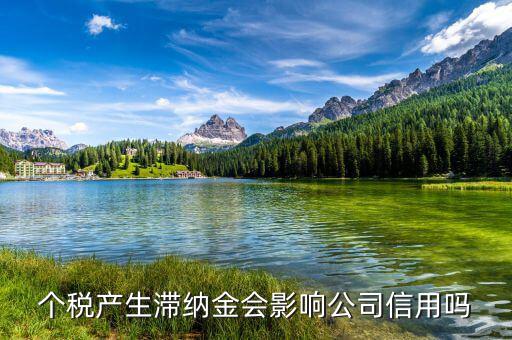 稅收滯納金有什么影響，地稅報(bào)稅逾期產(chǎn)生滯納金會(huì)對(duì)公司有甚么影響