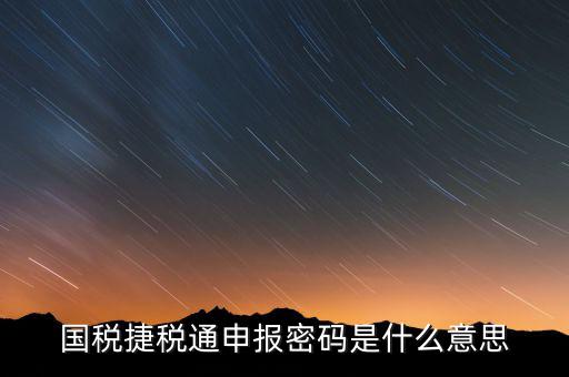 國稅申報登陸密碼是什么意思，國稅第一次網(wǎng)上申報的登陸密碼是什么