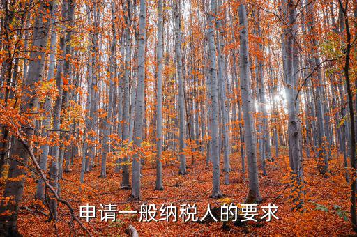 納稅人需求什么，申請(qǐng)一般納稅人的要求