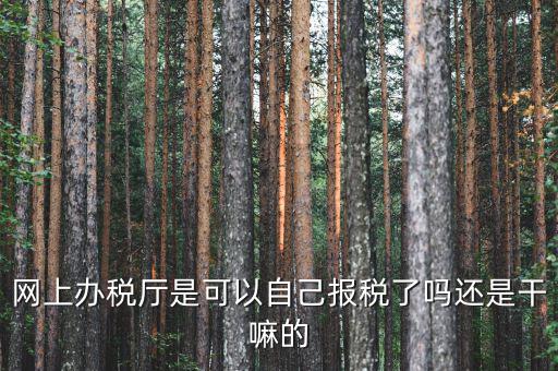 什么是網(wǎng)上辦稅服務(wù)廳，電子申報(bào)管理系統(tǒng)和網(wǎng)上辦稅大廳有什么不同的