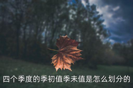 季初值和季末值是什么，四個季度的季初值季未值是怎么劃分的