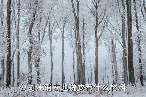 地稅注銷需要什么，注銷公司地稅局需要的資料