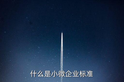 什么樣的標(biāo)準(zhǔn)是小薇企業(yè)，什么是小微企業(yè)標(biāo)準(zhǔn)