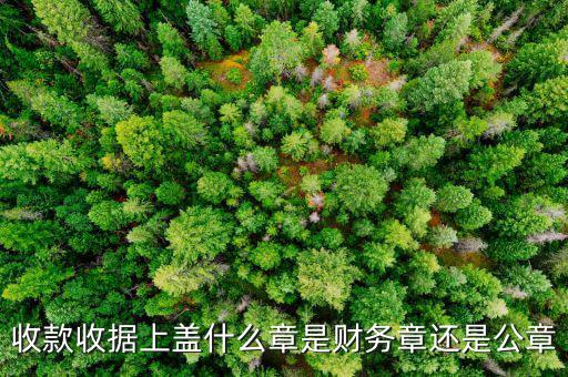 收款收據上蓋什么章是財務章還是公章