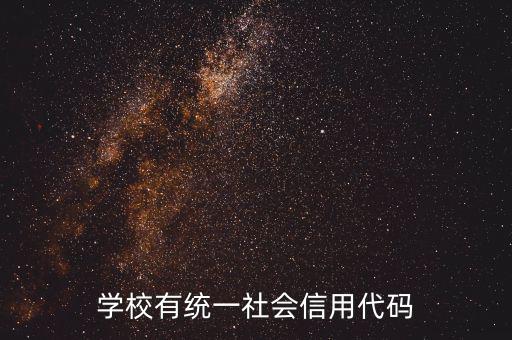 社會(huì)識(shí)別代碼是什么問(wèn)題，社會(huì)信用代碼是不是納稅人識(shí)別號(hào)
