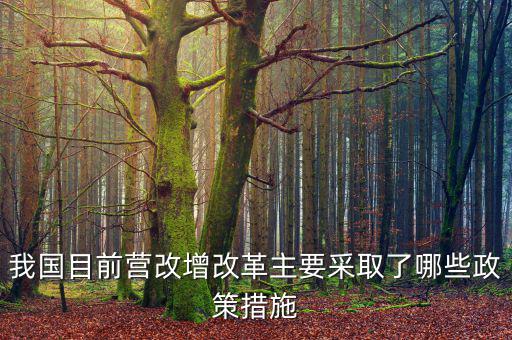 目前營改增政策暫不包括什么，營改增的范圍不包括  A軌道交通運(yùn)輸 B航空公司出租飛機(jī)配