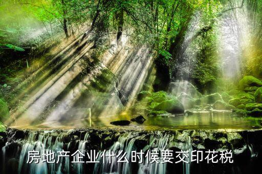 房地產企業(yè)什么時候要交印花稅