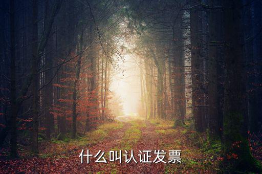什么叫認(rèn)證發(fā)票，什么叫認(rèn)證增值稅發(fā)票如何認(rèn)證好像還有手工認(rèn)證是怎么回事啊