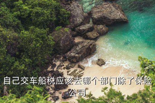 代開車船稅要用什么公司，哪些銀行代收車船使用稅