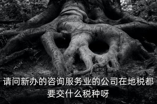 請(qǐng)問(wèn)新辦的咨詢服務(wù)業(yè)的公司在地稅都要交什么稅種呀