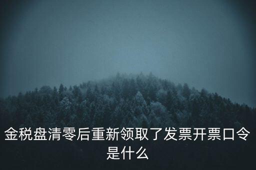 金稅盤口令是什么，金稅盤密碼口令忘記已試個6次還能試嗎