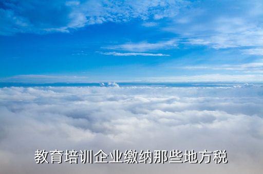培訓(xùn)機(jī)構(gòu)應(yīng)交什么稅，民辦非企業(yè)培訓(xùn)類學(xué)校應(yīng)交什么稅 請(qǐng)教指點(diǎn)