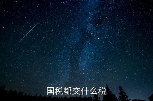 國(guó)稅五項(xiàng)稅種都是什么，國(guó)稅包括哪些稅種