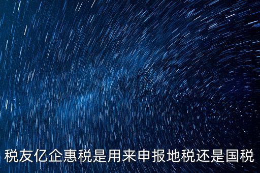 稅友報稅的是什么，稅友億企惠稅是用來申報地稅還是國稅