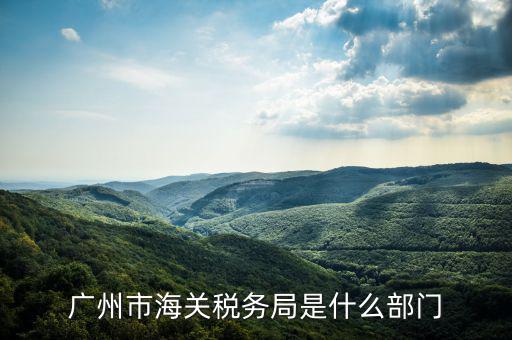 稅務總局國際司干什么，國家稅務總局是正部級