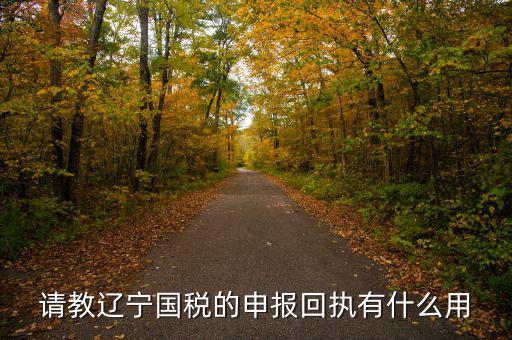 申報回執(zhí)有什么用，申訴以后的回執(zhí)編有什么用
