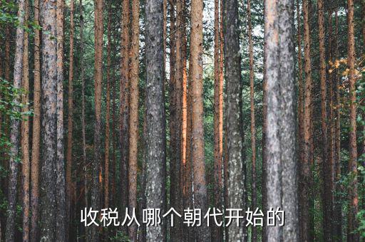 什么時(shí)候開始有稅收，稅是從什么時(shí)候開始的