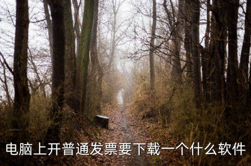 網(wǎng)絡(luò)開(kāi)票需要下載什么軟件下載，電腦打發(fā)票是不是要下載一個(gè)什么軟件