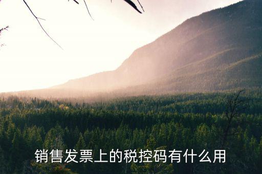 發(fā)票稅控碼是什么，國稅發(fā)票稅控碼
