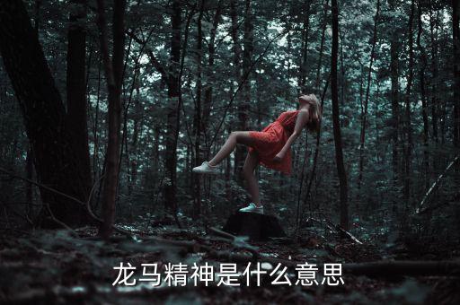 湖北國(guó)稅精神是什么意思，神志不清精神不能集中是什么詞的意思