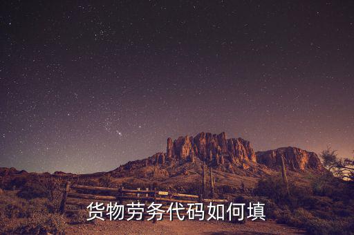 貨物勞務(wù)代碼是什么，貨物勞務(wù)代碼如何填