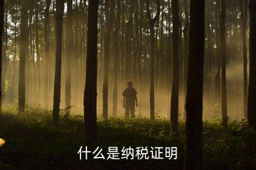 什么是稅收證明材料，投標(biāo)文件中開戶行帳號稅號證明材料指的是什么