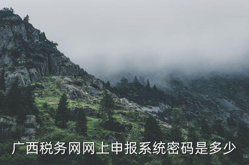 廣西稅務網網上申報系統(tǒng)密碼是多少