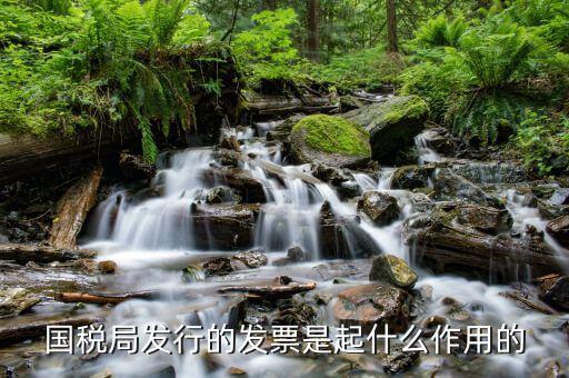 國(guó)家稅務(wù)局發(fā)票有什么用，發(fā)票有哪些作用呢