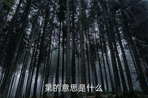 第稽什么意思，第是什么意思