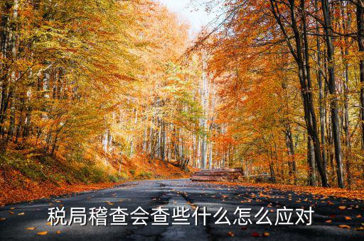 發(fā)票稽查查什么，稅局稽查會(huì)查些什么怎么應(yīng)對(duì)