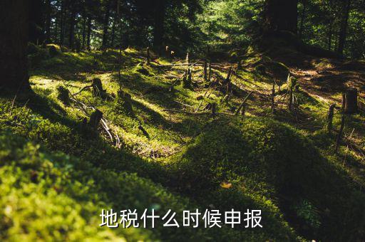地稅上面基金申報(bào)是指什么時(shí)候，地稅什么時(shí)候申報(bào)