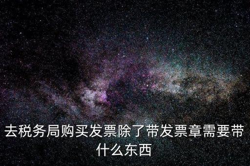 去稅務(wù)局購(gòu)買(mǎi)發(fā)票除了帶發(fā)票章需要帶什么東西