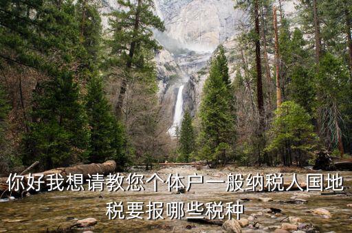 一般納稅人地稅交什么稅，地稅應(yīng)交哪些稅