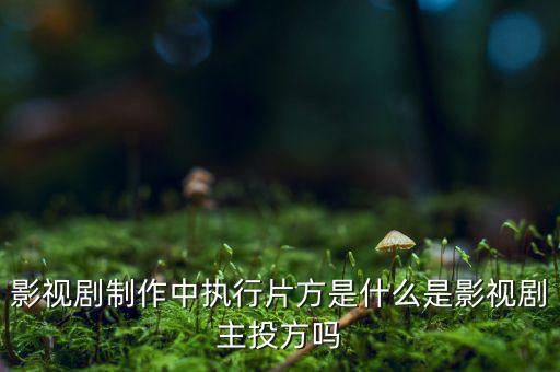 什么是分立主導(dǎo)方，股權(quán)分立是什么意思