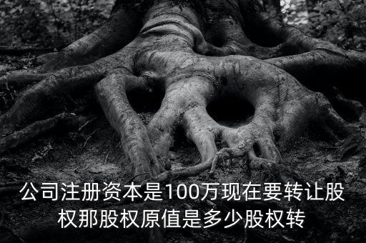 股權(quán)原值是什么意思，公司注冊資本是100萬現(xiàn)在要轉(zhuǎn)讓股權(quán)那股權(quán)原值是多少股權(quán)轉(zhuǎn)