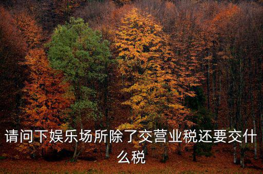 娛樂業(yè)交什么稅，請問下娛樂場所除了交營業(yè)稅還要交什么稅