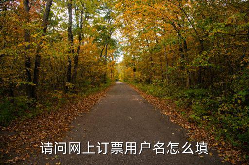 預(yù)約發(fā)票用戶名是什么，開票客戶名稱是指