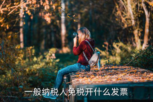 一般納稅人領(lǐng)什么票，一般納稅人免稅開(kāi)什么發(fā)票