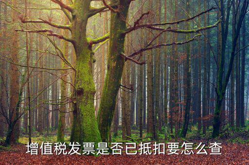 進項抵扣發(fā)票什么查，增值稅發(fā)票是否已抵扣要怎么查