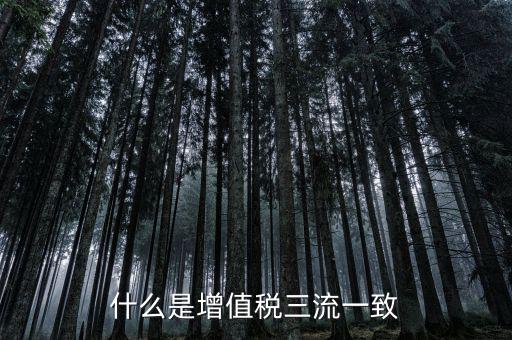 發(fā)票的流向相符是什么意思，普通增值稅發(fā)票資金流向要相符嗎