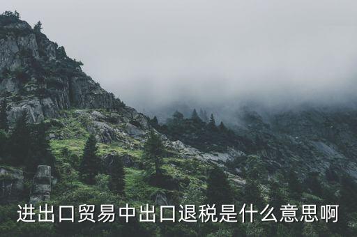 什么是增值稅出口退稅，出口退稅指的是什么