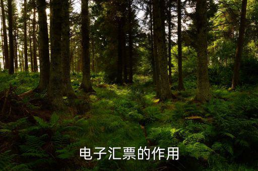 電子發(fā)票作用是什么，電子發(fā)票系統(tǒng)能做什么用