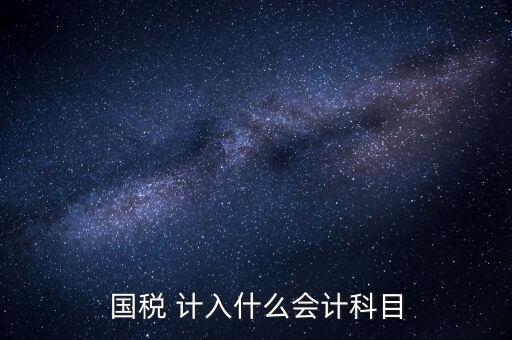 國稅申報記入什么科目，付國稅應計入什么科目求解啊