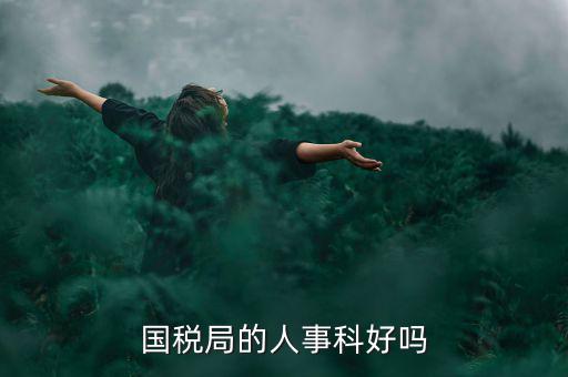 國稅人事科做什么，縣國稅局的人事歸哪里管基層分局的級別