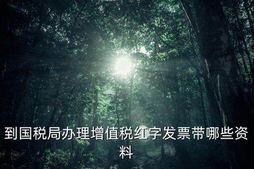 開紅字增票要帶些什么，增值稅普通發(fā)票開具紅字發(fā)票需要什么資料