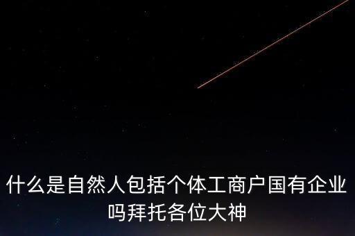 稅務(wù)上的自然人指的是什么，申請人為自然人的是什么意思