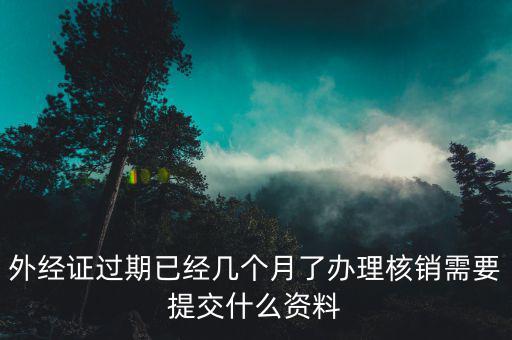 上海外經(jīng)證核銷資料要些什么，外經(jīng)證過期已經(jīng)幾個月了辦理核銷需要提交什么資料